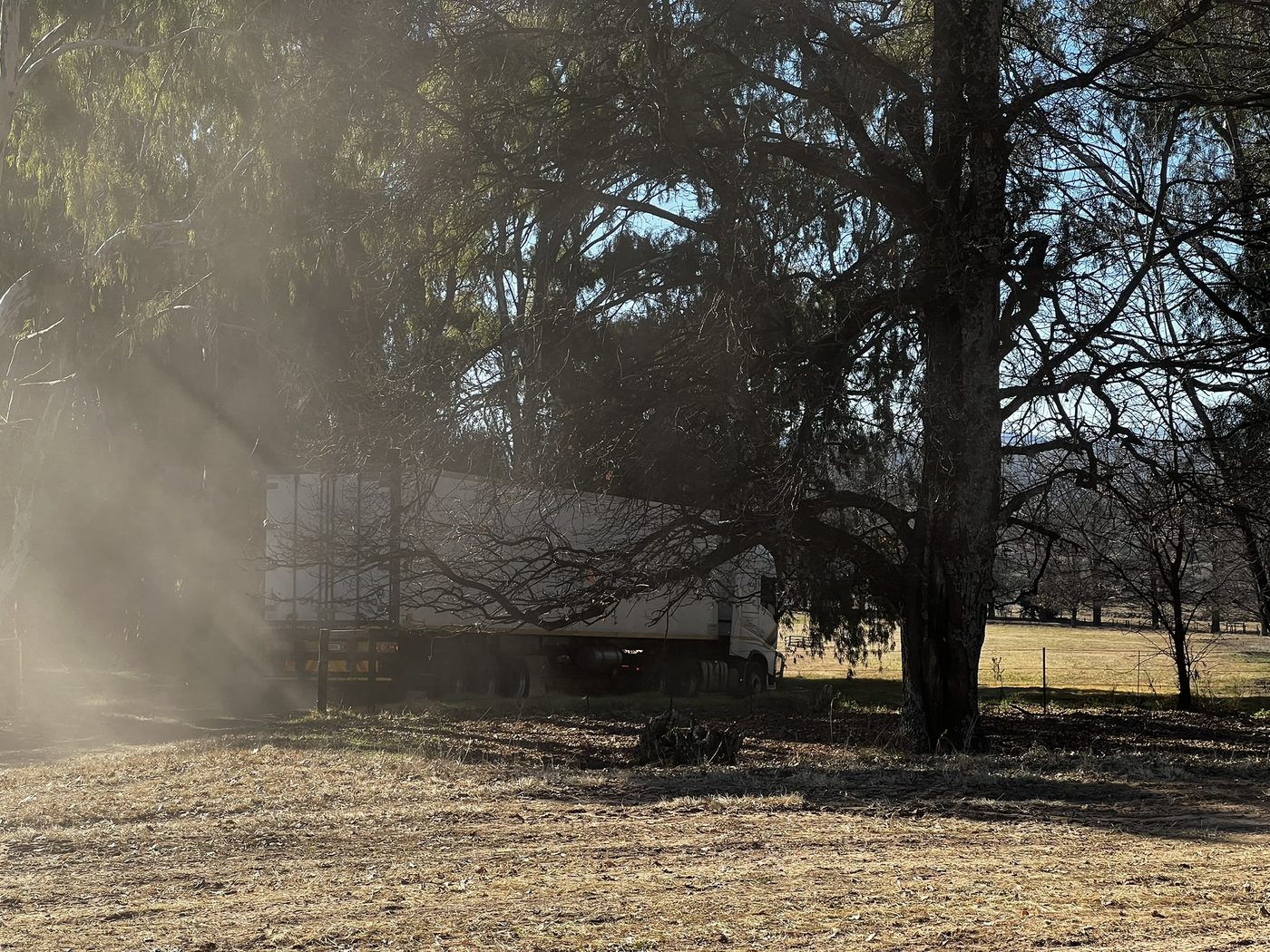 Truck departing Free State Tree Nursery with the season's first apple tree order, Eastern Free State